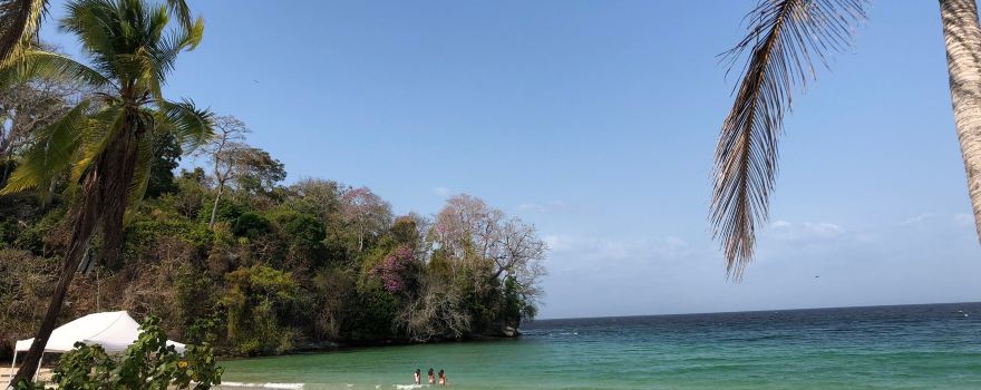 Executive Beach