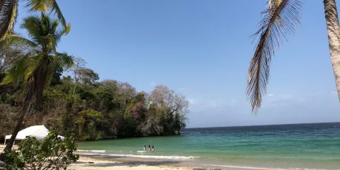 Playa Ejecutiva
