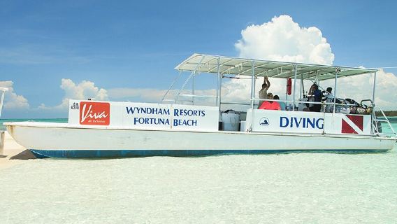 Reef Oasis Dive Club