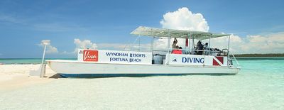 Reef Oasis Dive Club