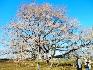 Tenpyo no Oka Park