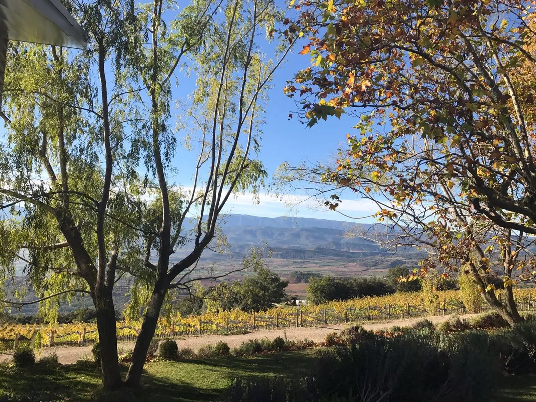 4_Bodega Castell d'Encus