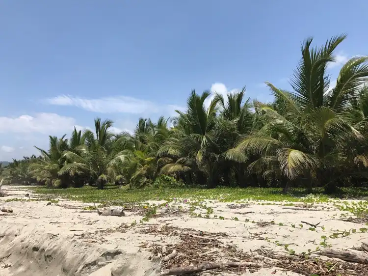 Hotels near Buritaca