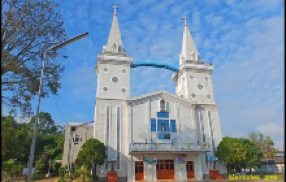 รองอาสนวิหารนักบุญอันนา หนองแสง