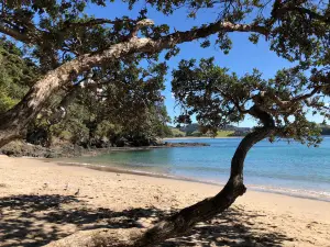 Matapouri Bay