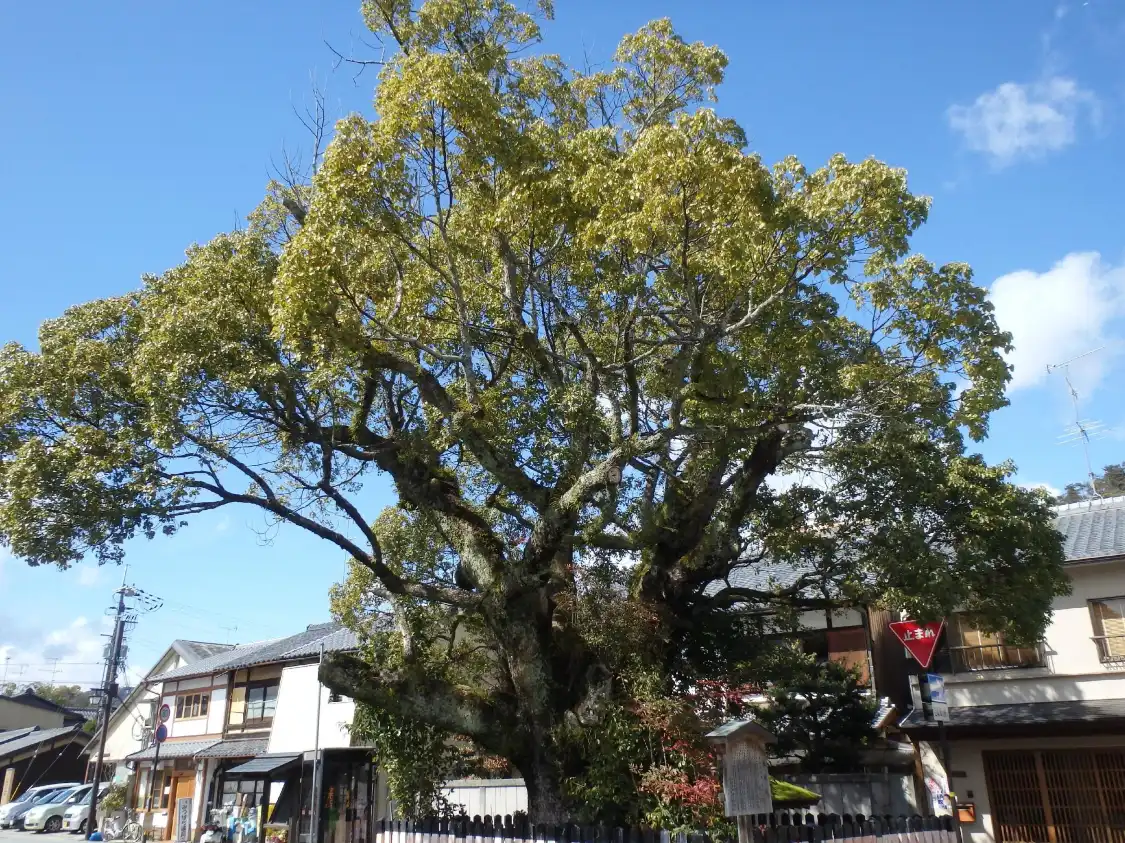 Hotel in zona Nishimura House Garden