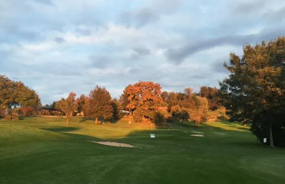 菲爾德基芩－韋斯特勒姆