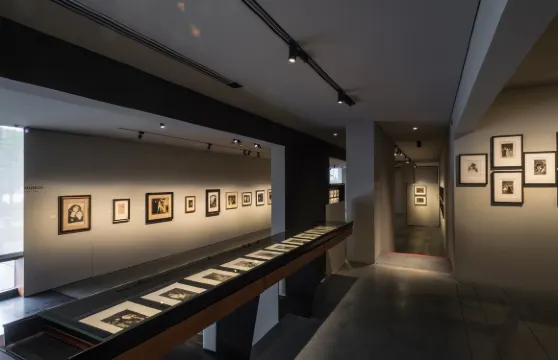 Museum De Reede門票成人