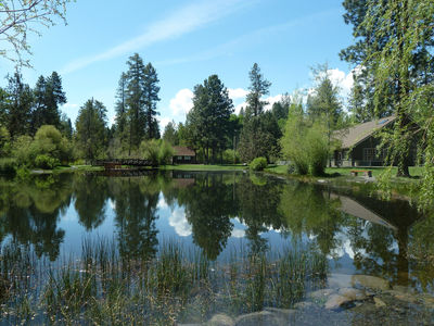 Shevlin Park
