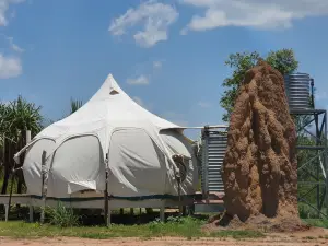 Top End Safari Camp