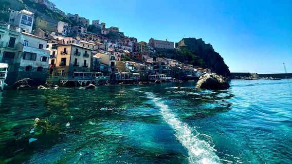 Scilla In Barca