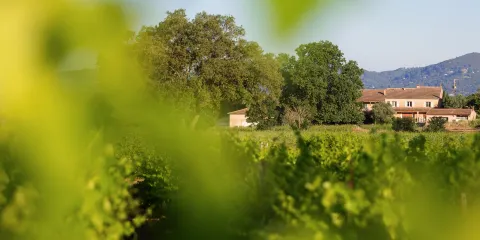 Domaine de Jale