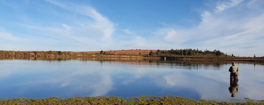Wild Fly Fishing in the Karoo