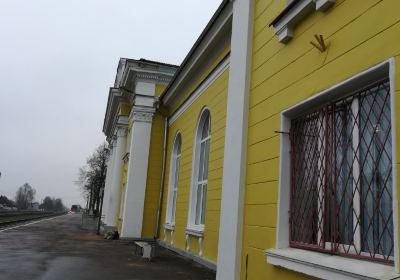 Novosokolnichesky District