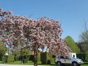 Camping Restaurant Saint-Louis