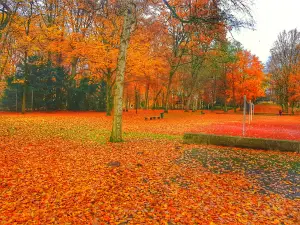 Mohns Park