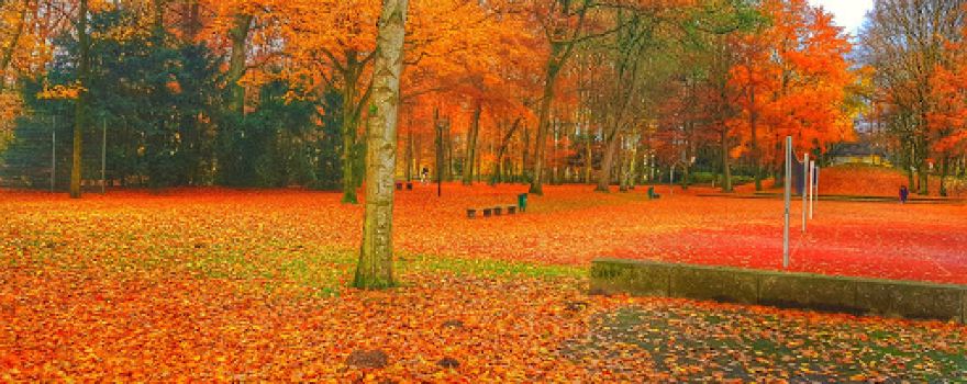 Mohns Park