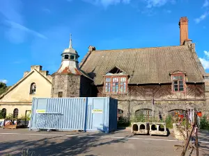 Bratslav mill