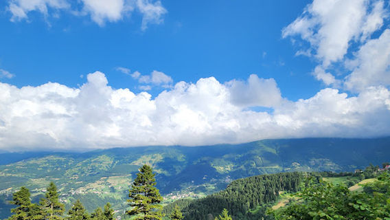 Çalcamili Tabiat Parkı