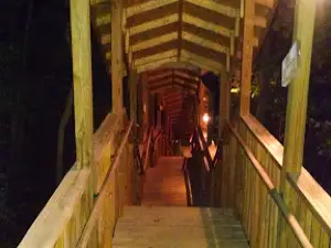 Scary Harry's Haunted Trails LLC