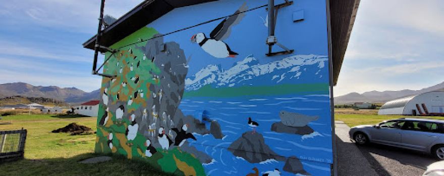 Puffin Wall