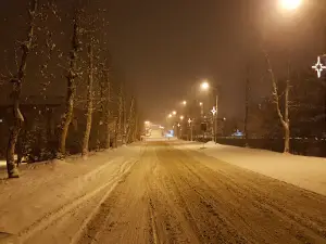 Topolnjak