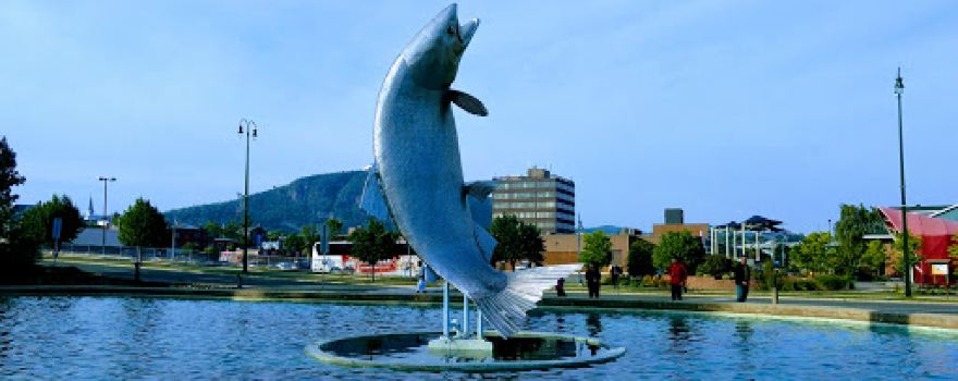 Salmon Sculpture
