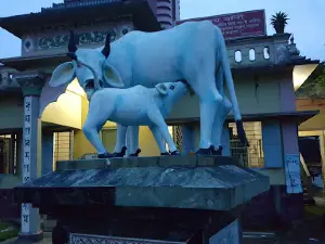 ShreeAngan Pond