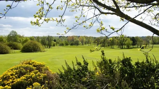 The Wychwood Golf Club