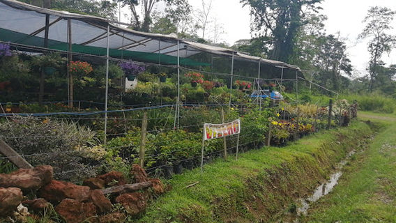 Vivero Talamanca
