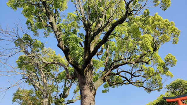 Fuchi Shrine Station (Nagasaki Ropeway)