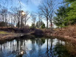 Philip Lauter Park