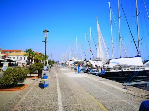 Square Odysseus Androutsos