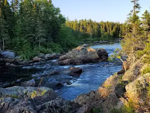 David Smallwood Park