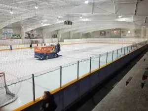 The Garson Arena