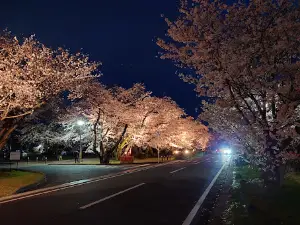 Daihatsu Kyushu Sports Park Osada