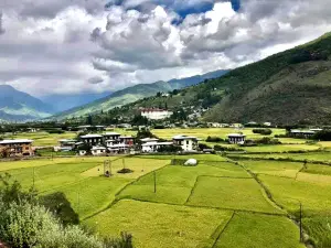 Paro Chu Viewpoint