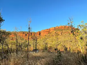 Joe Creek Picnic Area