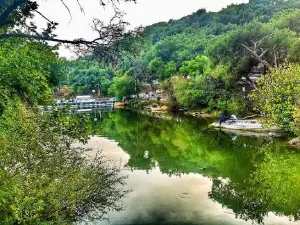 Ahmet Ozdemir Picnic Area