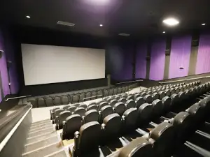 Platinum Theatres