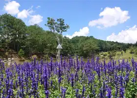 金穀