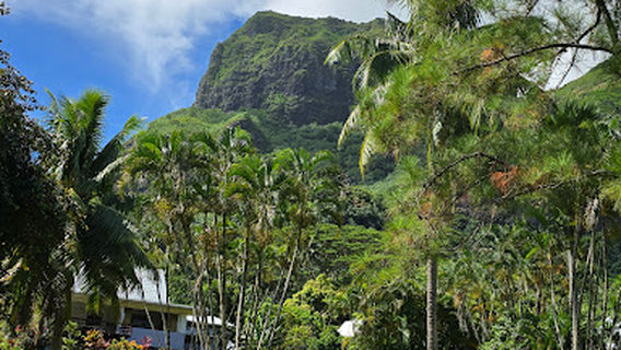 Bora Bora Masson Art Gallery