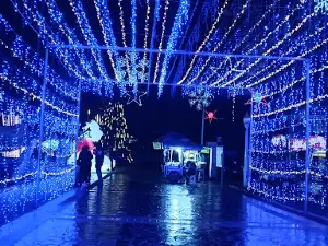 Parque Benito Juárez