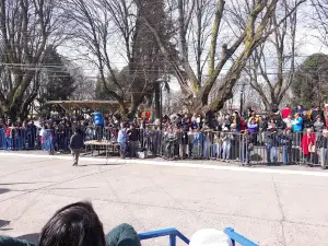 Plaza Renaico