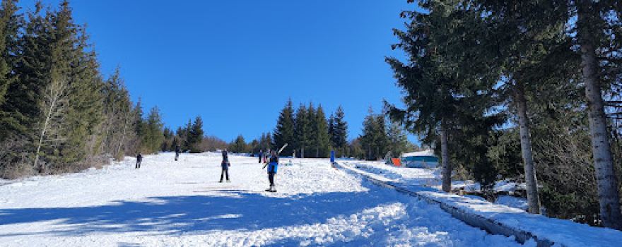 Žari
