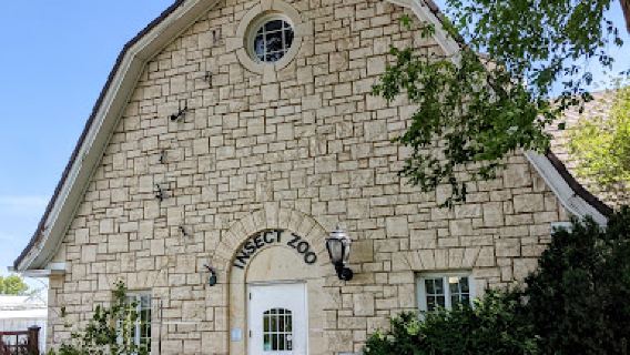 K-State Insect Zoo