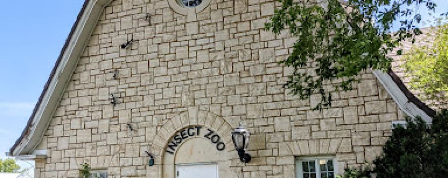 K-State Insect Zoo
