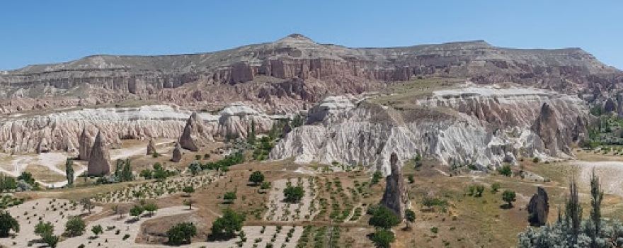Altunhisar İlçe Müftülüğü Kutlu Doğum Hatıra Ormanı