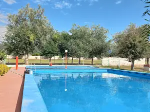 Camping Municipal La Viña