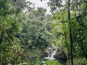 Guía local Mutatá Ecoturisdó - Turismo - Guianza - Tours- Guia Mutatá. Turísmo Mutatá